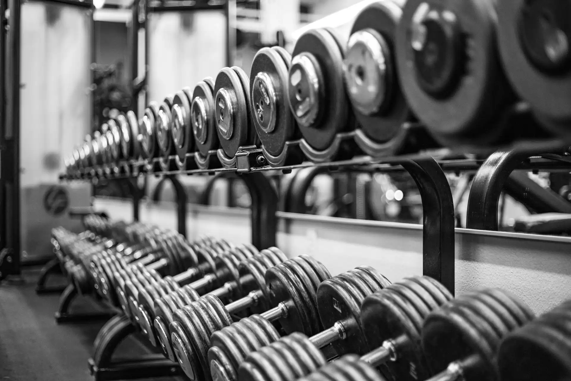 About Lander Fitness