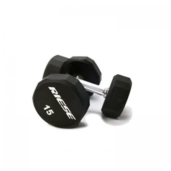 TWELVE SIDED DUMBBELL
