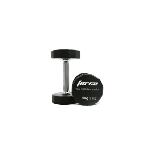 TWELVE-SIDED DUMBBELLS